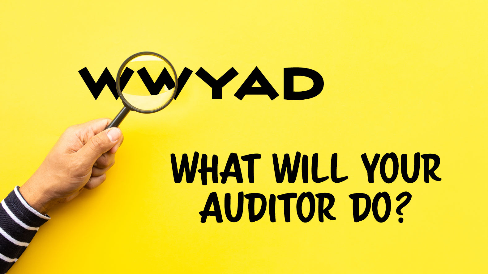 What will your auditor do?