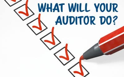 What Will Your Auditor Do?